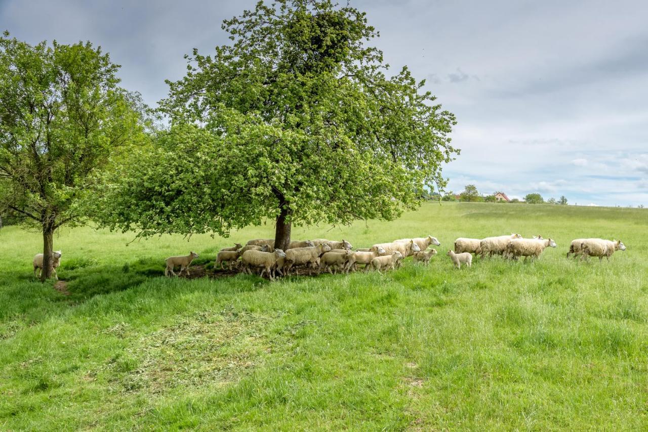 Agroturistika - "Domecek U Ovecek" Villa Horní Těrlicko Екстериор снимка