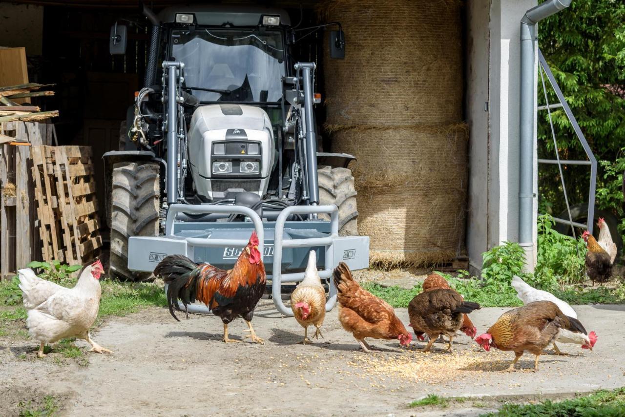 Agroturistika - "Domecek U Ovecek" Villa Horní Těrlicko Екстериор снимка