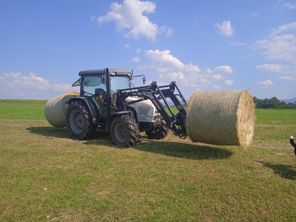 Agroturistika - "Domecek U Ovecek" Villa Horní Těrlicko Екстериор снимка